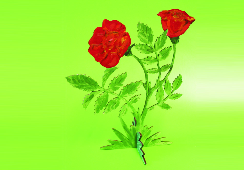 Bastelsatz Frühlingsblüher Heckenrosen